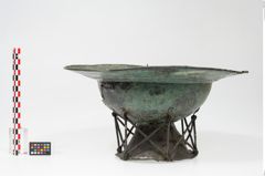 Foto von Bronzebreitrandfußschale (NHMW-PRAE-025437)